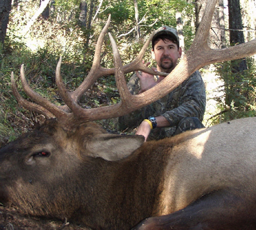 Archery Elk - Jim