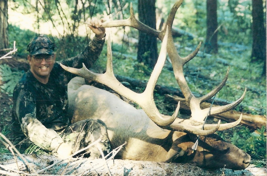 Top 10 Archery Elk Hunting Outfitters In Montana