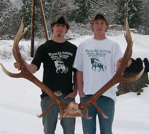 Rifle Elk and Deer Hunt - Buddies Spotlight
