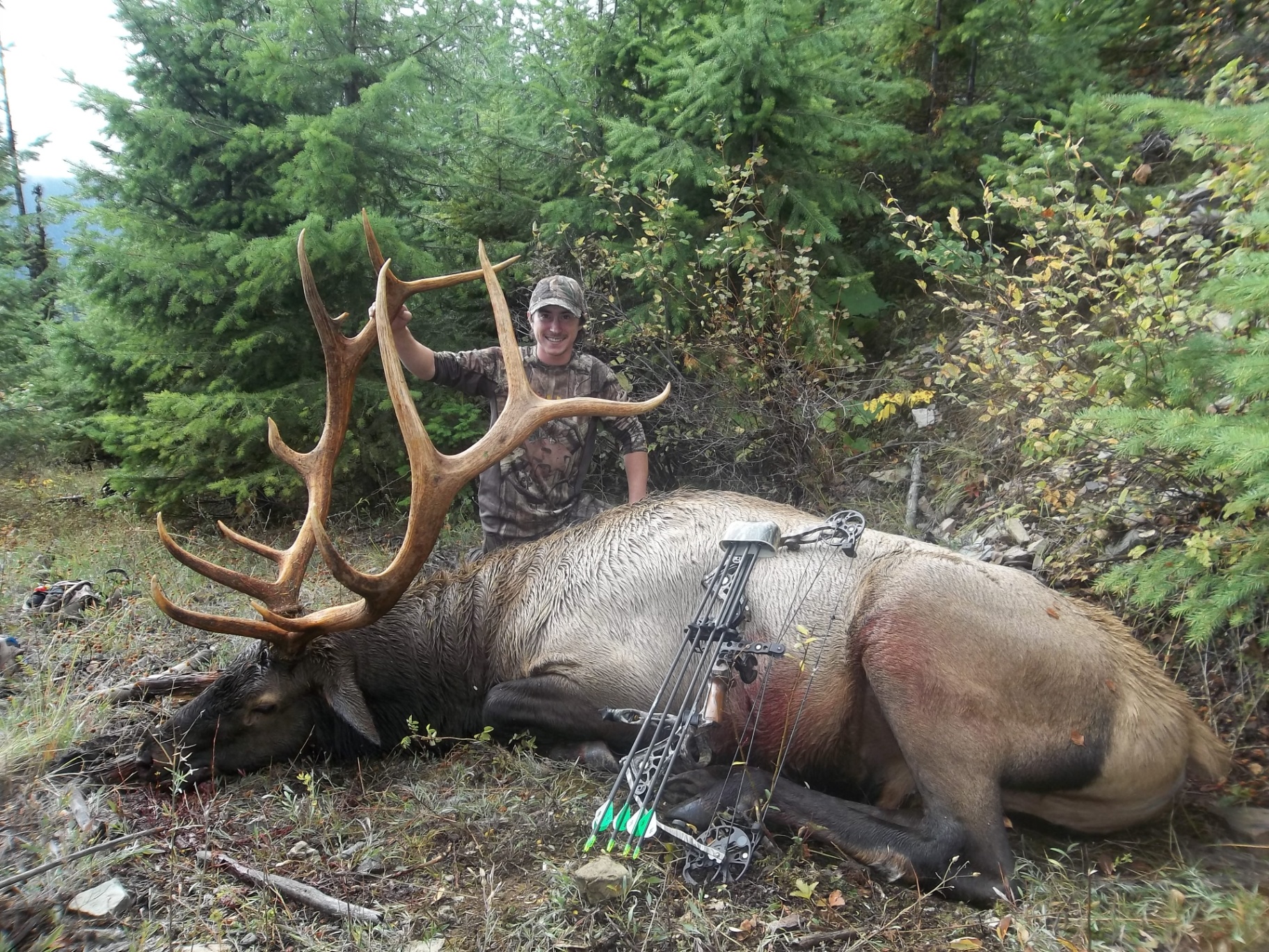 Montana Archery Elk Hunting